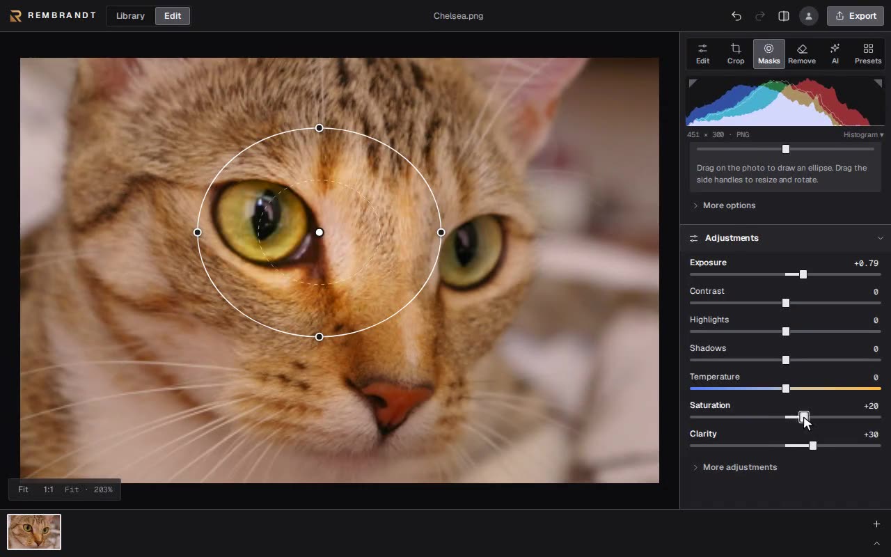 A radial mask over a cat's eye